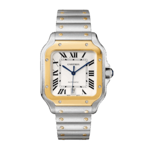 Cartier Santos De Cartier W2SA0006 39.8mm – VIP Version