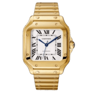 Cartier Santos de Cartier WGSA0030 35.1mm – VIP Version