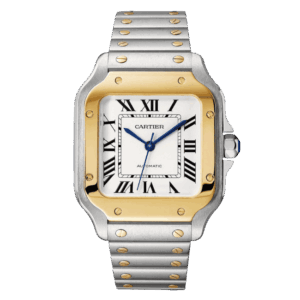 Cartier Santos De Cartier Two Tone W2SA0006 35.5mm – VIP Version