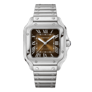 Cartier Santos De Cartier Chocolate Dial WSSA0065 35.5mm – VIP Version