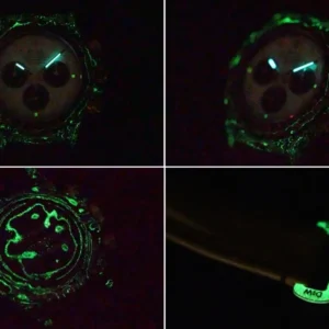 Rolex Daytona DIW Cacbon “DESERT EAGLE ARABIC” 40mm – VIP Version - Görsel 10