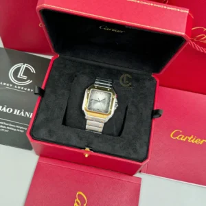 Cartier Santos De Cartier CRW2SA0030 Demi Yellow Gold – VIP Version - Görsel 8