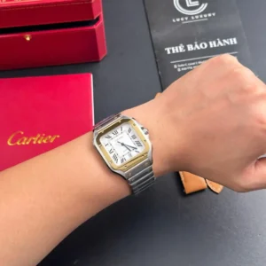 Cartier Santos De Cartier W2SA0006 39.8mm – VIP Version - Görsel 8