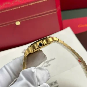 Cartier Santos de Cartier WGSA0030 35.1mm – VIP Version - Görsel 7