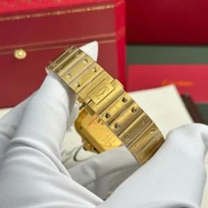 Cartier Santos de Cartier WGSA0030 35.1mm – VIP Version - Görsel 9
