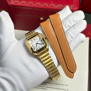 Alternative view of Cartier Santos de Cartier WGSA0030 35.1mm – VIP Version