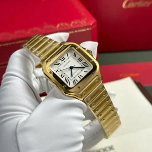 Cartier Santos de Cartier WGSA0030 35.1mm – VIP Version - Görsel 4