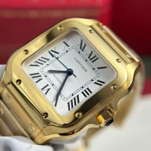 Cartier Santos de Cartier WGSA0030 35.1mm – VIP Version - Görsel 5