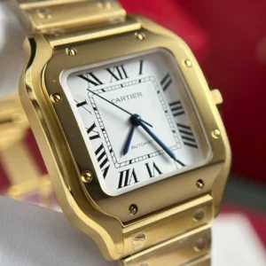 Cartier Santos de Cartier WGSA0030 35.1mm – VIP Version - Görsel 6