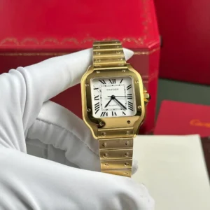 Cartier Santos de Cartier WGSA0030 35.1mm – VIP Version - Görsel 3