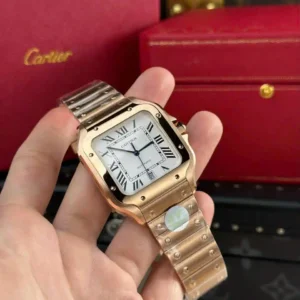 Cartier Santos de Cartier WGSA0018 39.8mm – VIP Version - Görsel 5