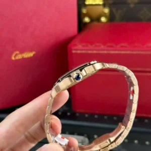 Cartier Santos de Cartier WGSA0018 39.8mm – VIP Version - Görsel 8