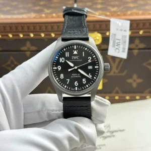 Alternative view of IWC Pilot’s Mark XX Patrouille Suisse IW328209 Titanium