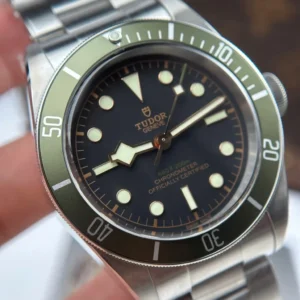 Tudor Heritage Black Bay 79230G Titanium – VIP Version - Görsel 6