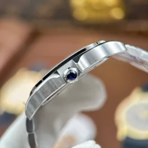 Cartier Santos Large Skeleton WHSA0026 39mm – VIP Version - Görsel 6