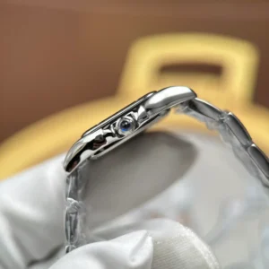 Cartier Panthère de Cartier Small WSPN0010 – VIP Version - Görsel 7